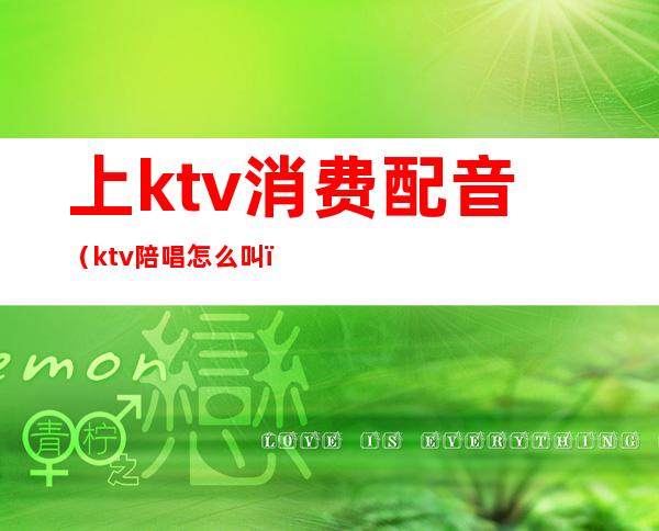 上ktv消费配音（ktv陪唱怎么叫）