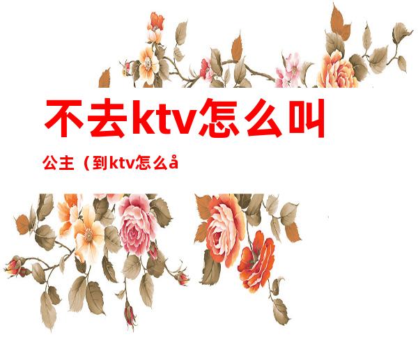 不去ktv怎么叫公主（到ktv怎么叫公主）