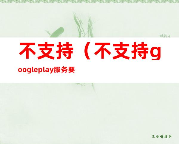 不支持（不支持google play服务要怎么解决）