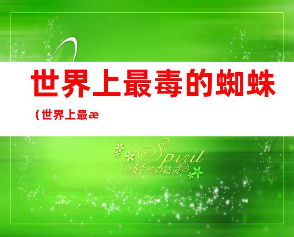 世界上最毒的蜘蛛（世界上最毒的蜘蛛之一）