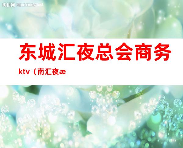 东城汇夜总会商务ktv（南汇夜总会）