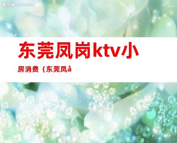 东莞凤岗ktv小房消费（东莞凤岗KTV）