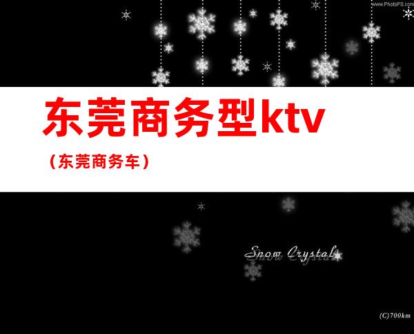 东莞商务型ktv（东莞商务车）