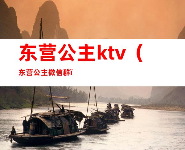 东营公主ktv（东营公主微信群）