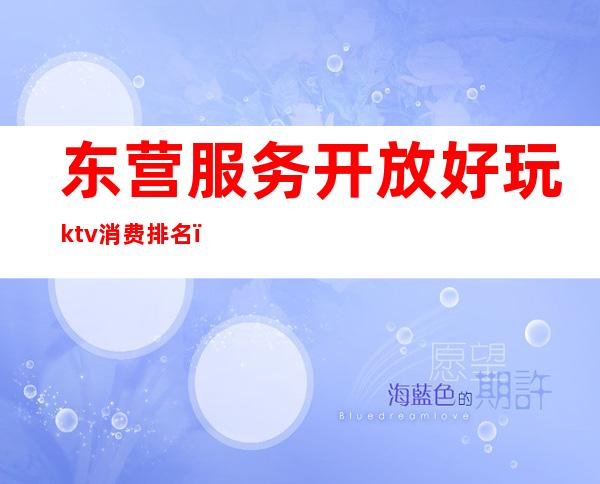 东营服务开放好玩ktv消费排名（东营小ktv是怎么玩的）