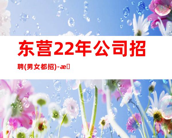 东营22年公司招聘(男女都招)-本人实力