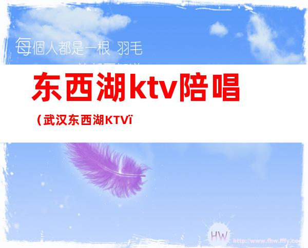 东西湖ktv陪唱（武汉东西湖KTV）