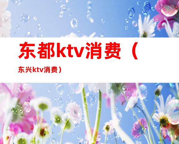 东都ktv消费（东兴ktv消费）