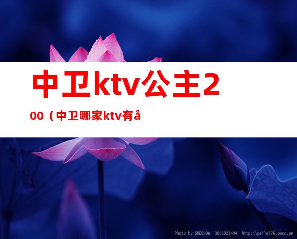 中卫ktv公主200（中卫哪家ktv有公主）