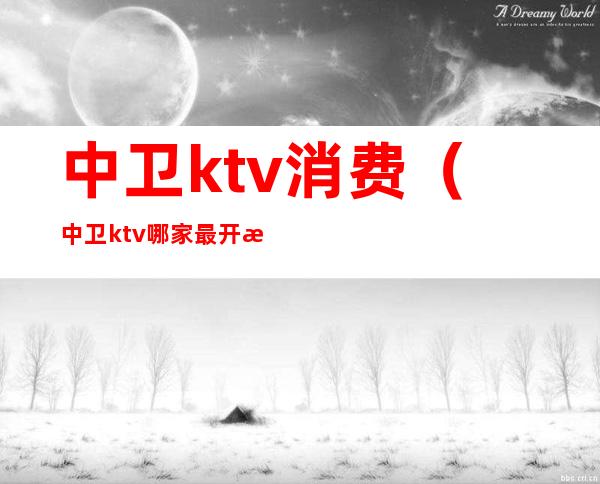 中卫ktv消费（中卫ktv哪家最开放）