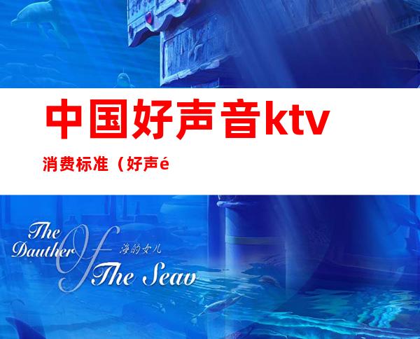 中国好声音ktv消费标准（好声音量贩式ktv）