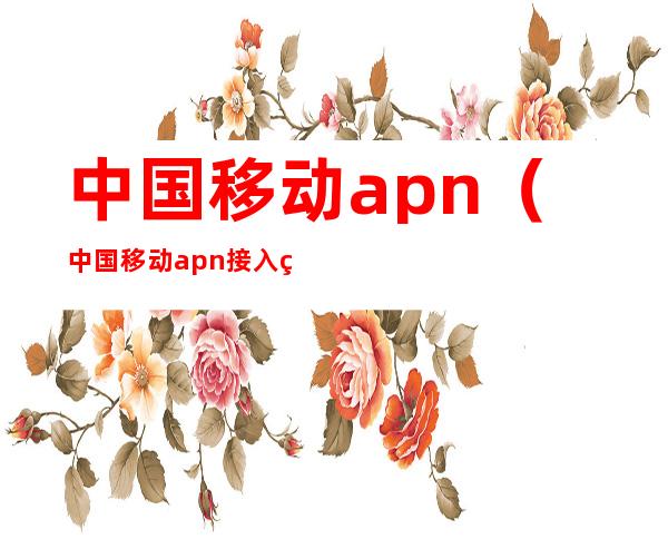 中国移动apn（中国移动apn接入点大全）