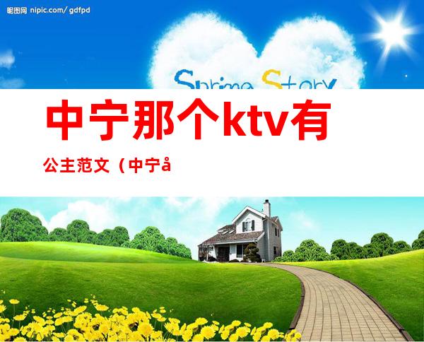 中宁那个ktv有公主范文（中宁娱乐会所有公主吗）