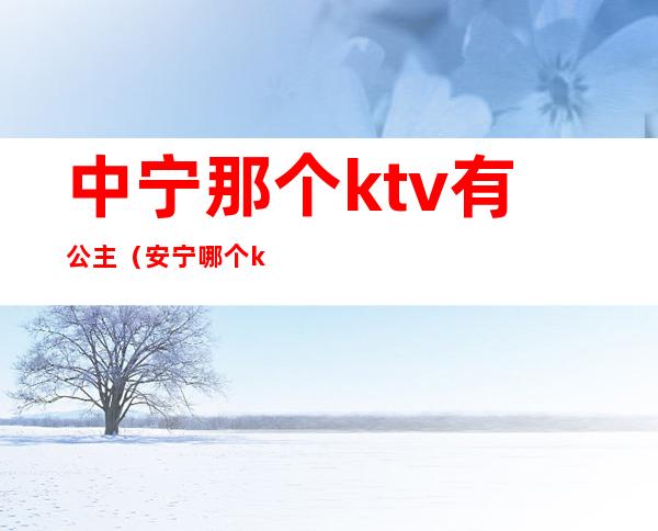 中宁那个ktv有公主（安宁哪个ktv有公主）