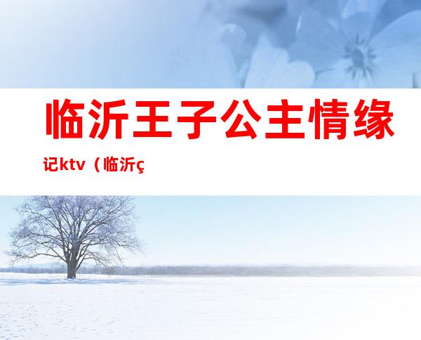 临沂王子公主情缘记ktv（临沂王子公主情缘记）