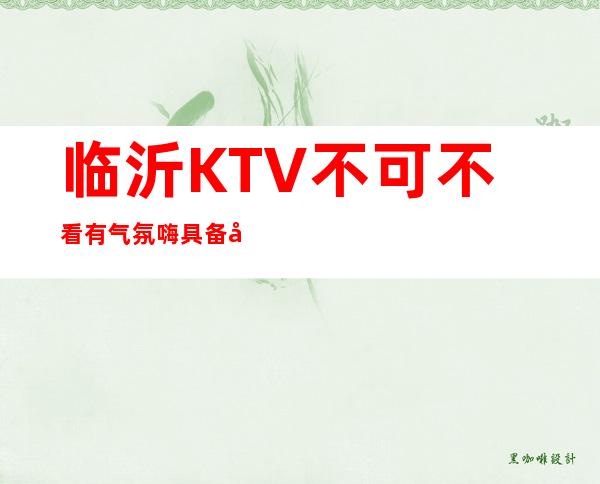 临沂KTV不可不看有气氛嗨具备典雅贵气 – 临沂河东商务KTV