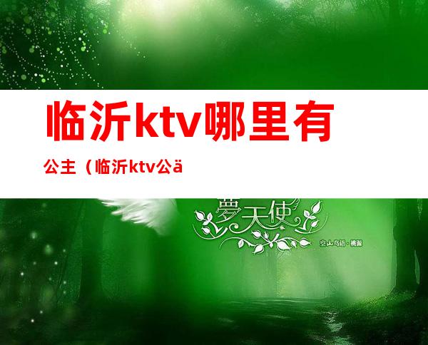 临沂ktv哪里有公主（临沂ktv公主小费多少）