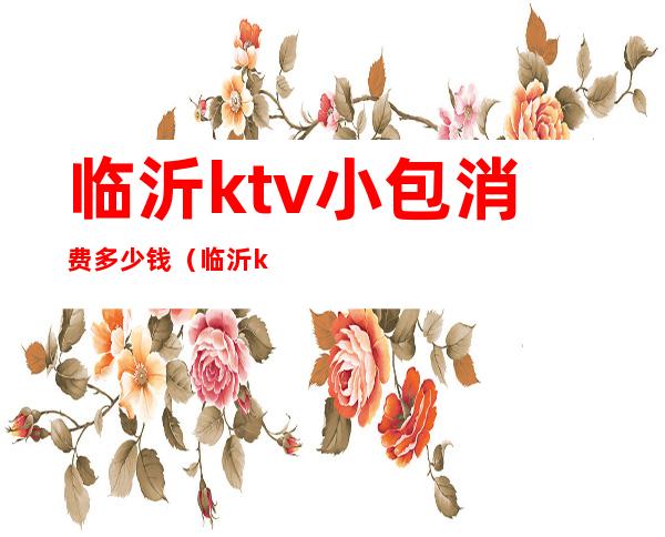 临沂ktv小包消费多少钱（临沂ktv陪唱价格）