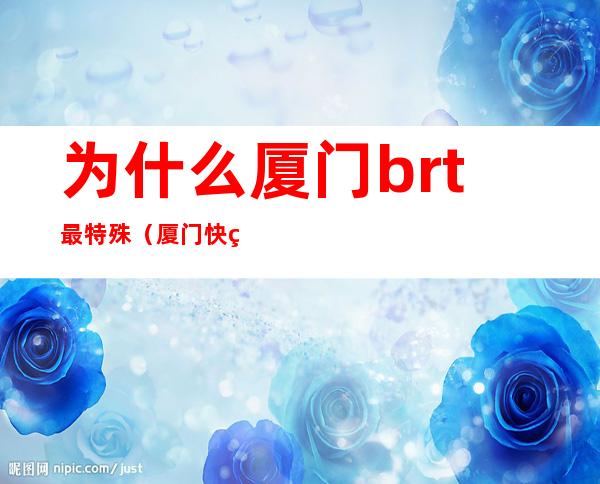 为什么厦门brt最特殊（厦门快线是brt吗）