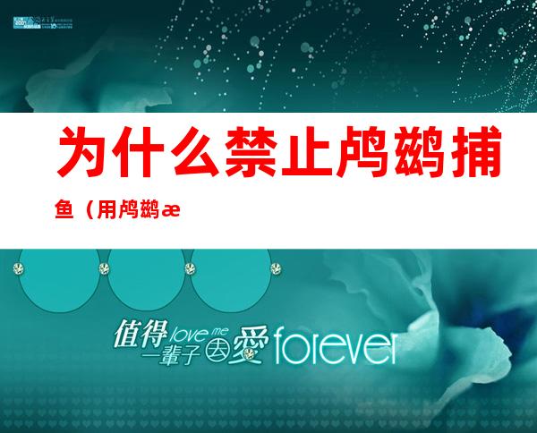 为什么禁止鸬鹚捕鱼（用鸬鹚捕鱼犯法嘛）