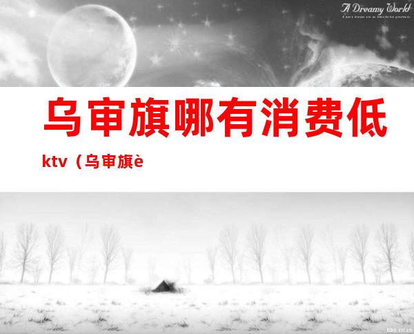 乌审旗哪有消费低ktv（乌审旗购物的地方）