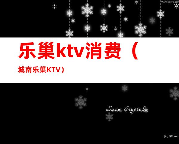 乐巢ktv消费（城南乐巢KTV）