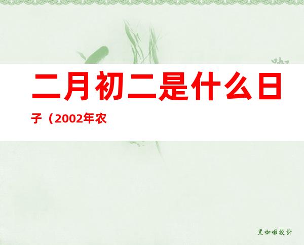 二月初二是什么日子（2002年农历十二月初二是什么日子）