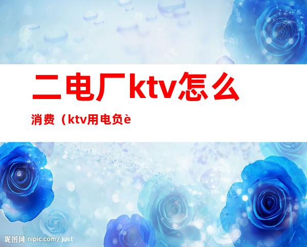 二电厂ktv怎么消费（ktv用电负荷）