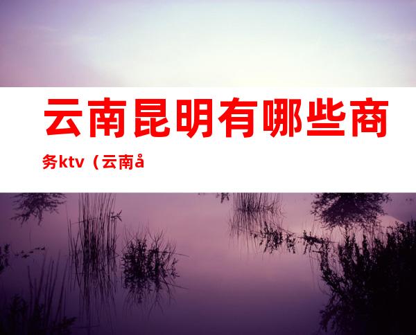 云南昆明有哪些商务ktv（云南商务之窗）