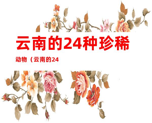 云南的24种珍稀动物（云南的24种珍稀动物手抄报）