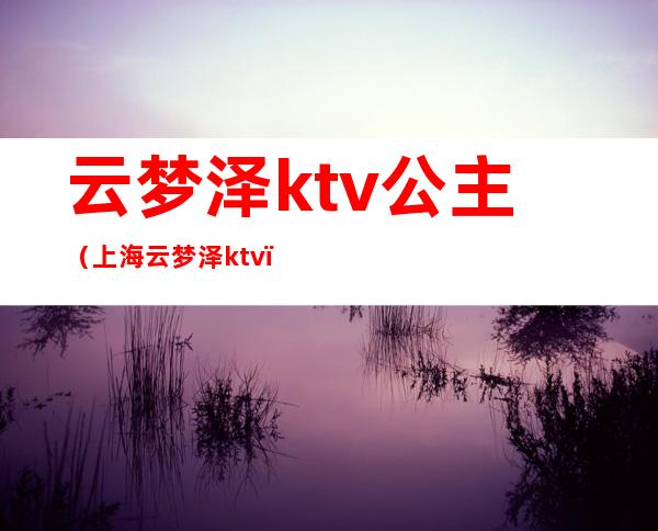 云梦泽ktv公主（上海云梦泽ktv）