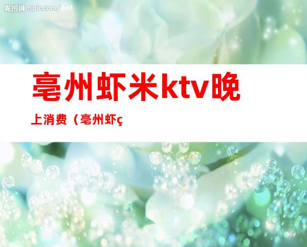 亳州虾米ktv晚上消费（亳州虾米ktv晚上消费多少）