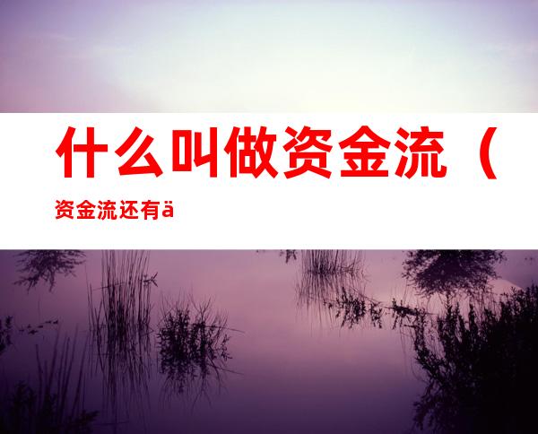 什么叫做资金流（资金流还有什么流）