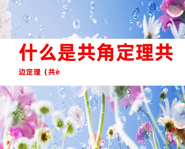 什么是共角定理共边定理（共边三角形和共边定理的数学）