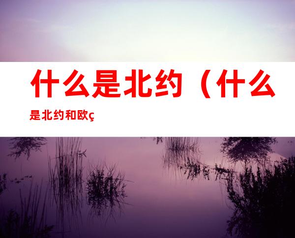 什么是北约（什么是北约和欧盟）