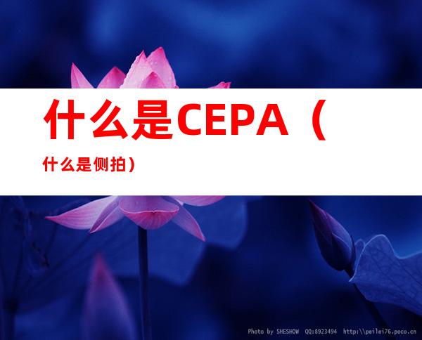 什么是CEPA（什么是侧拍）