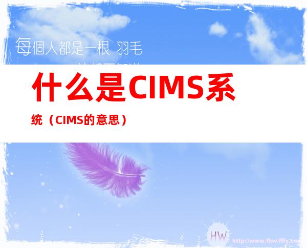 什么是CIMS系统（CIMS的意思）