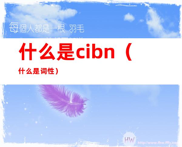 什么是cibn（什么是词性）