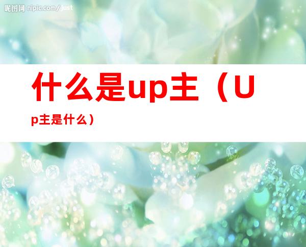 什么是up主（Up主是什么）