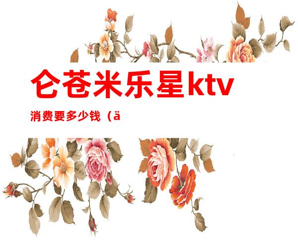 仑苍米乐星ktv消费要多少钱（仑苍米乐星ktv消费要多少钱一天）