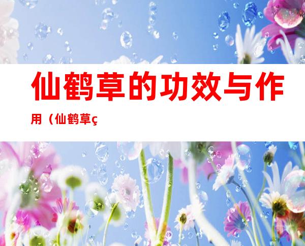 仙鹤草的功效与作用（仙鹤草的功效与作用和副作用）