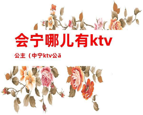 会宁哪儿有ktv公主（中宁ktv公主）