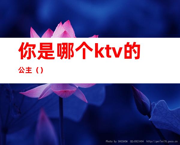 你是哪个ktv的公主（）