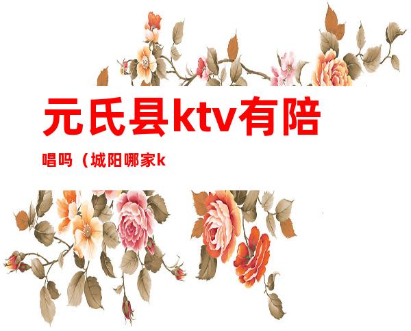 元氏县ktv有陪唱吗（城阳哪家ktv有陪唱）