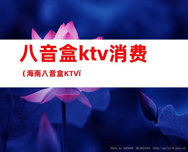 八音盒ktv消费（海南八音盒KTV）