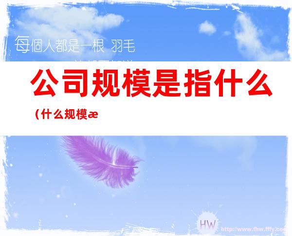 公司规模是指什么（什么规模才叫公司）