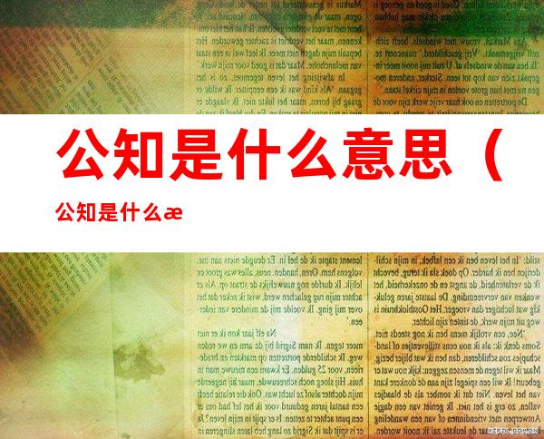 公知是什么意思（公知是什么意思）