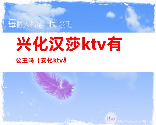 兴化汉莎ktv有公主吗（安化ktv公主）