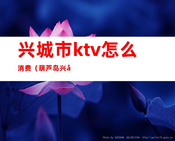 兴城市ktv怎么消费（葫芦岛兴城ktv）