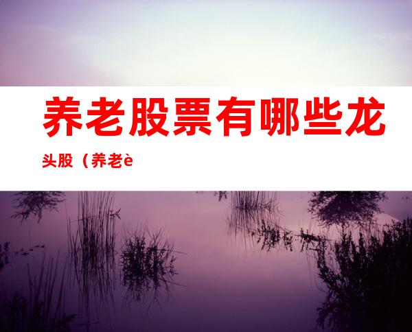 养老股票有哪些龙头股（养老股票有哪些龙头股份）